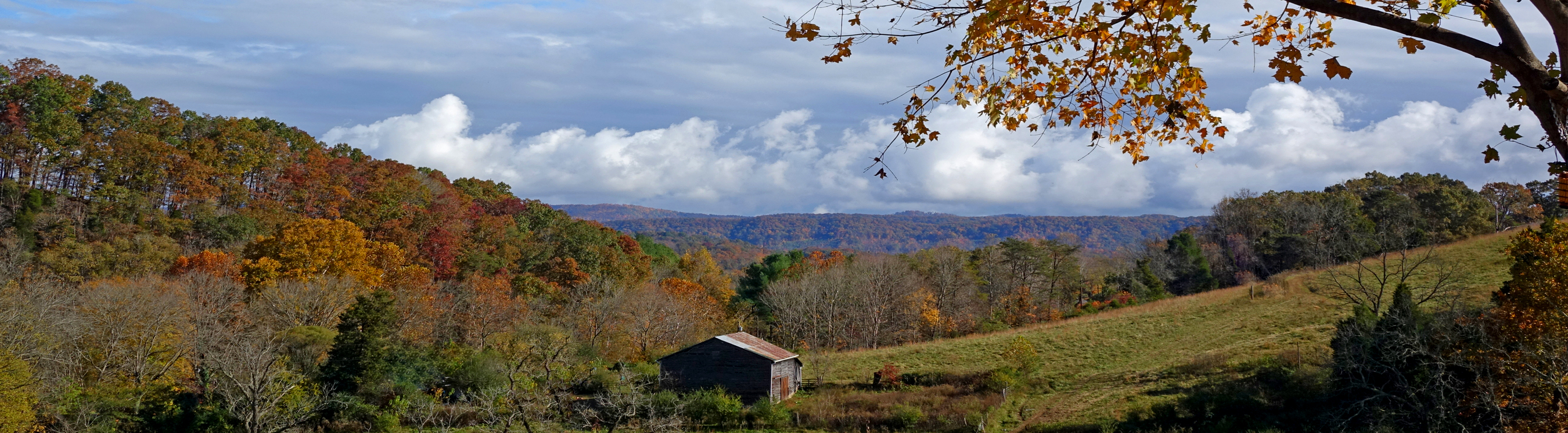 Amis Mill Eatery